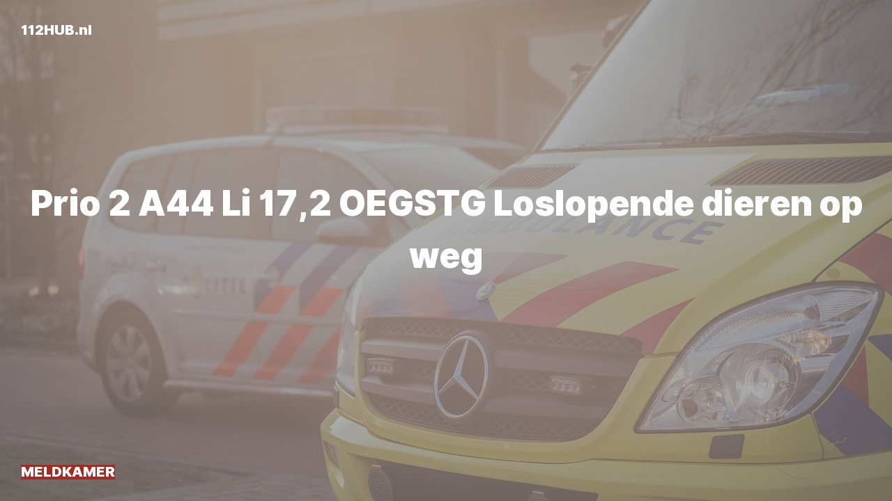 Deelafbeelding voor Meldkamer met gepaste spoed op de A44 bij hectometerpaaltje 17.2.