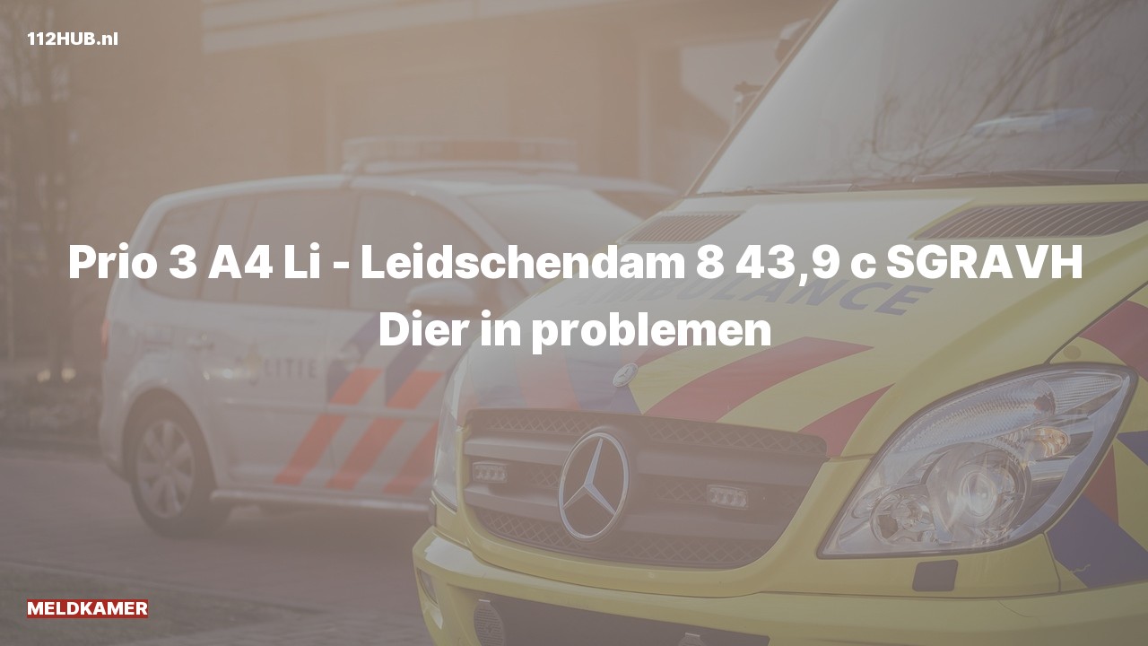 Deelafbeelding voor De Meldkamer is uitgerukt op de A4 bij hectometerpaaltje 43.9
