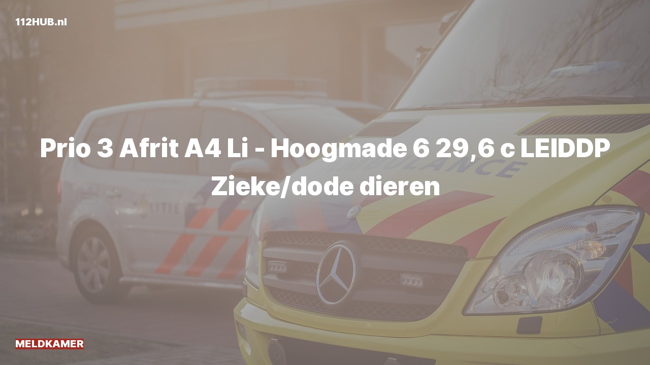 Deelafbeelding voor De Meldkamer is uitgerukt op de A4 bij hectometerpaaltje 29.6