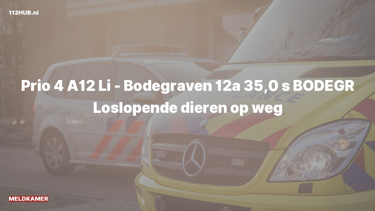 Deelafbeelding voor De Meldkamer is uitgerukt op de A12 bij hectometerpaaltje 35