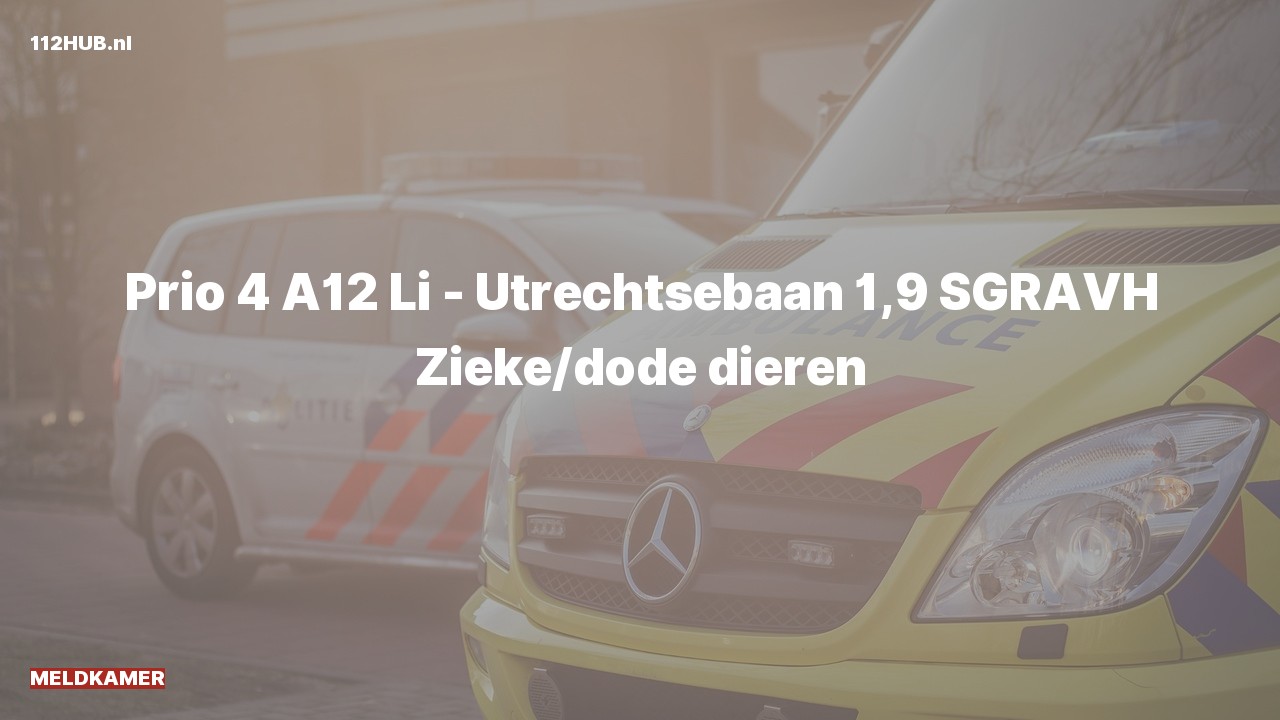 Deelafbeelding voor Meldkamer op de A12 bij hectometerpaaltje 1.9.