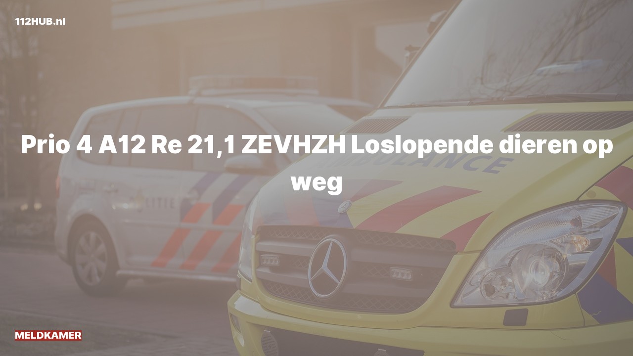 Deelafbeelding voor Meldkamer op de A12 bij hectometerpaaltje 21.1.