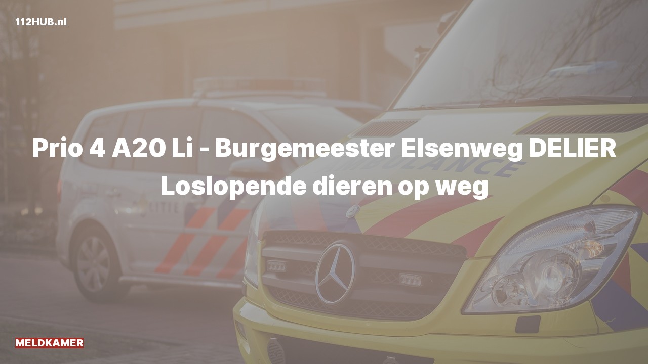 Deelafbeelding voor Meldkamer.