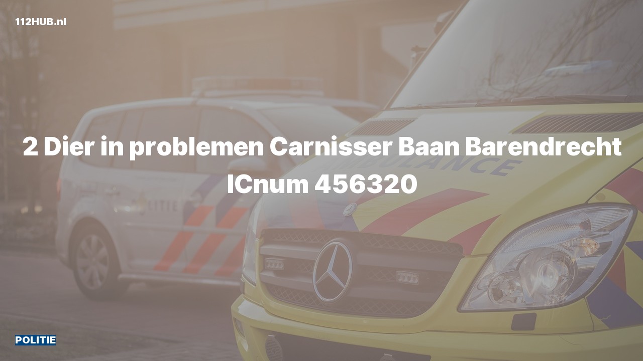 Deelafbeelding voor Politie.