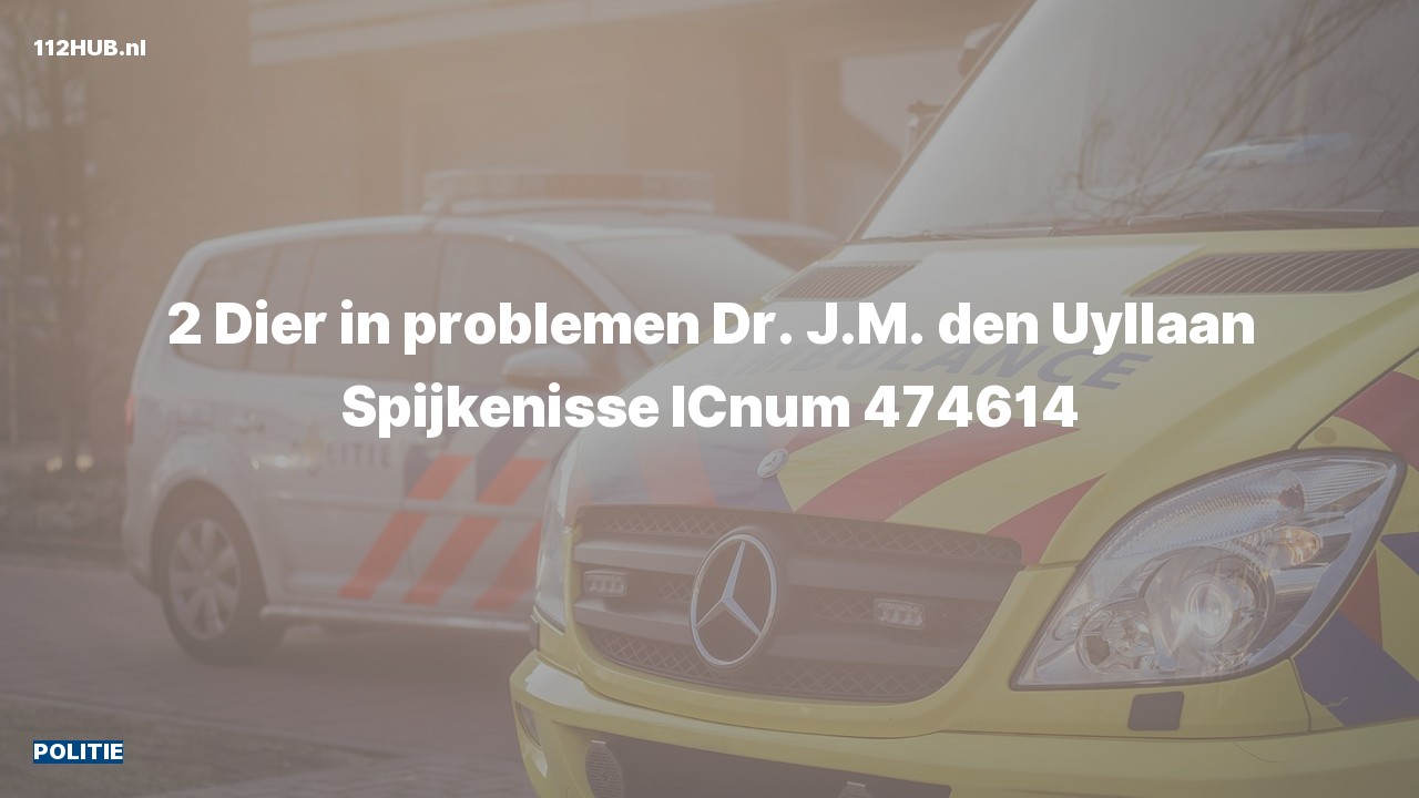Deelafbeelding voor Politie naar de Dr. J.M. den Uyllaan in Spijkenisse.