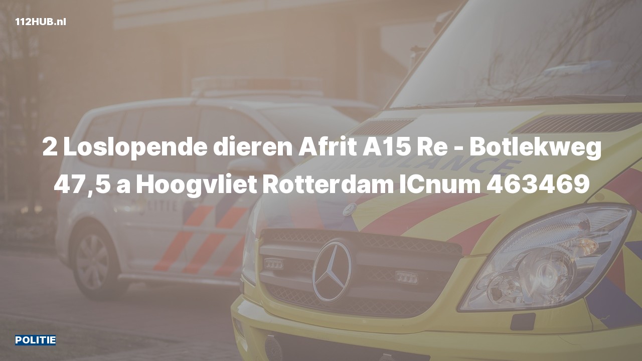 Deelafbeelding voor Politie op de A15 bij hectometerpaaltje 47.5.