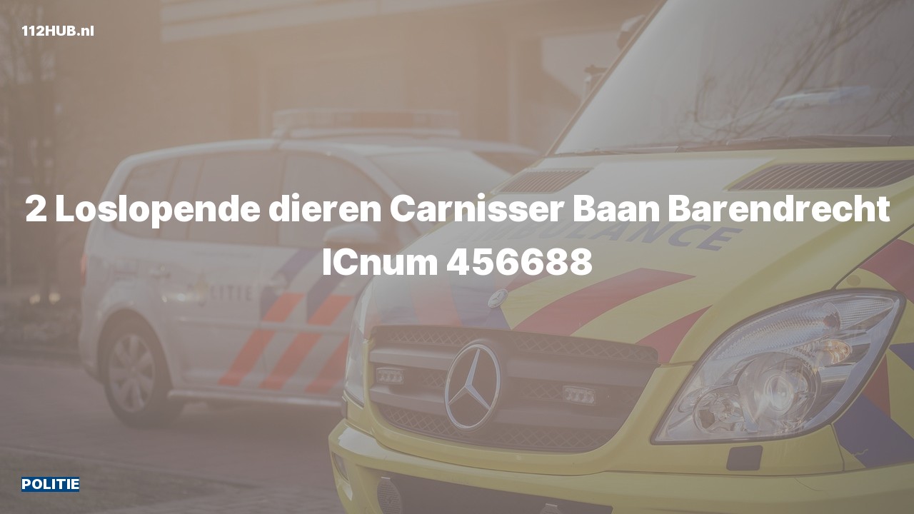 Deelafbeelding voor Politie.