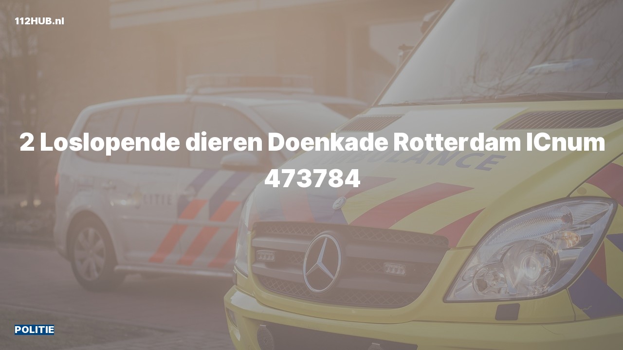 Deelafbeelding voor Politie naar de Doenkade in Rotterdam.