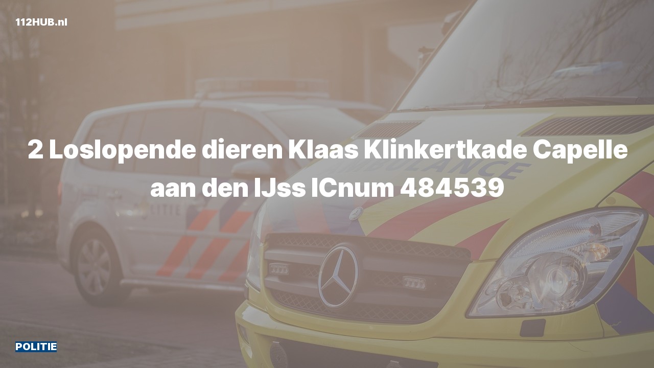 Deelafbeelding voor Politie.