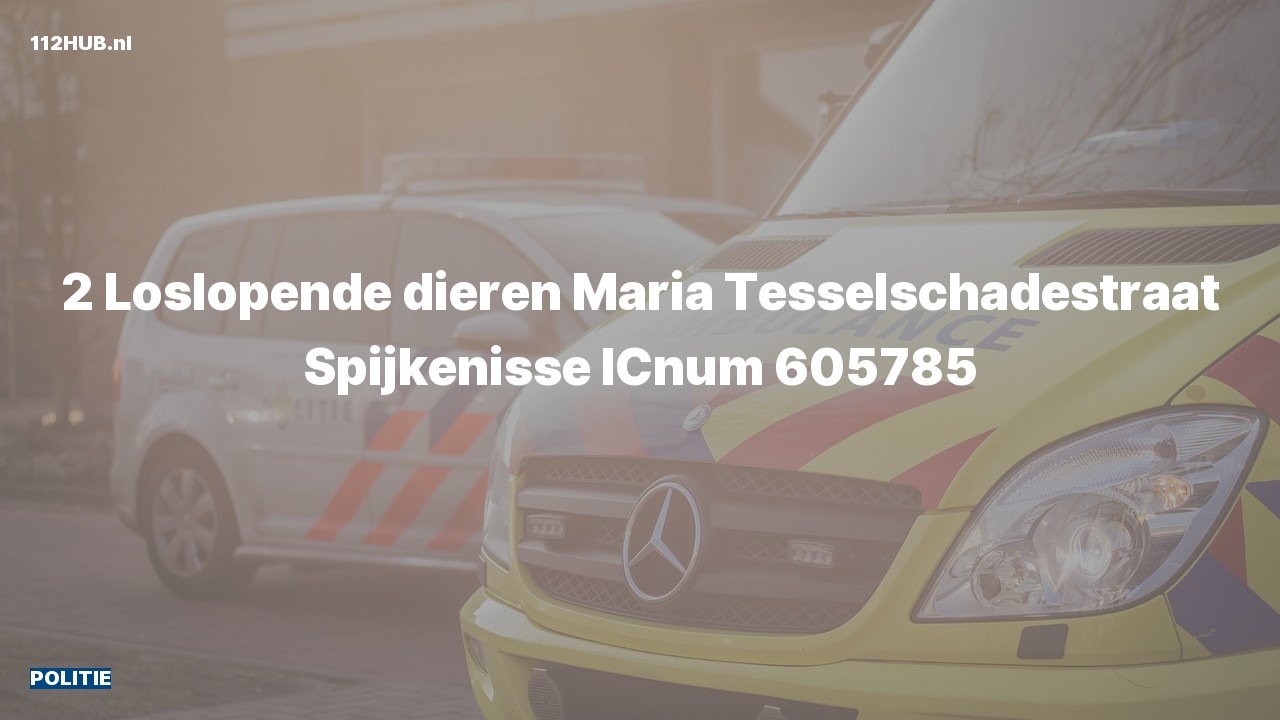 Deelafbeelding voor De politie is uitgerukt naar de Maria Tesselschadestraat in Spijkenisse