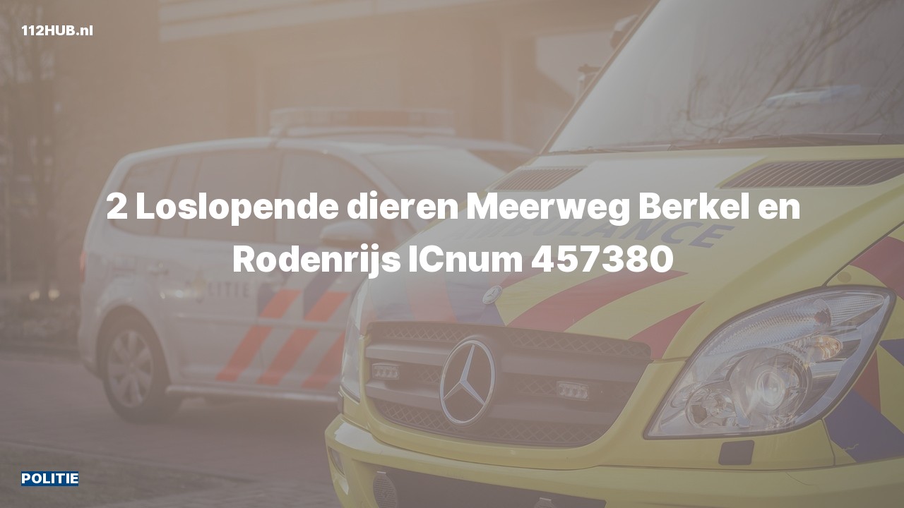 Deelafbeelding voor Politie naar de Meerweg in Berkel en Rodenrijs.