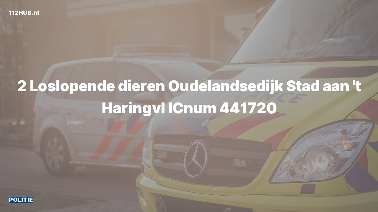 Deelafbeelding voor Politie naar de Oudelandsedijk in Stad aan 't Haringvliet.