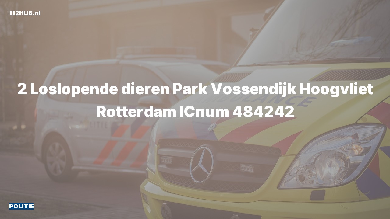 Deelafbeelding voor Politie naar de Park Vossendijk in Hoogvliet Rotterdam.