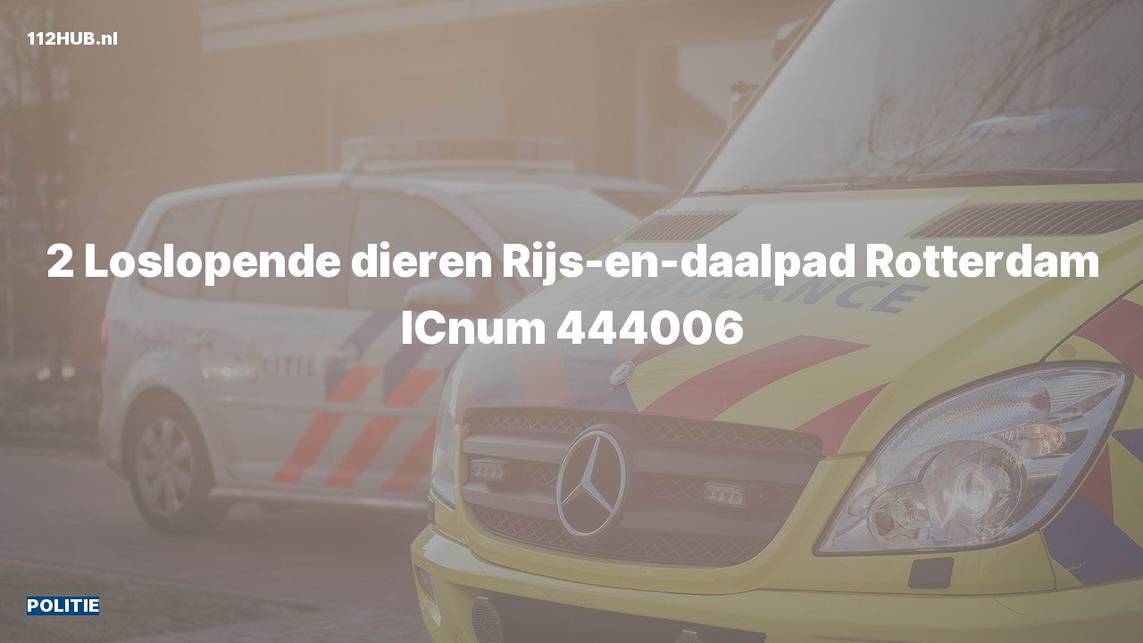 Deelafbeelding voor Politie.