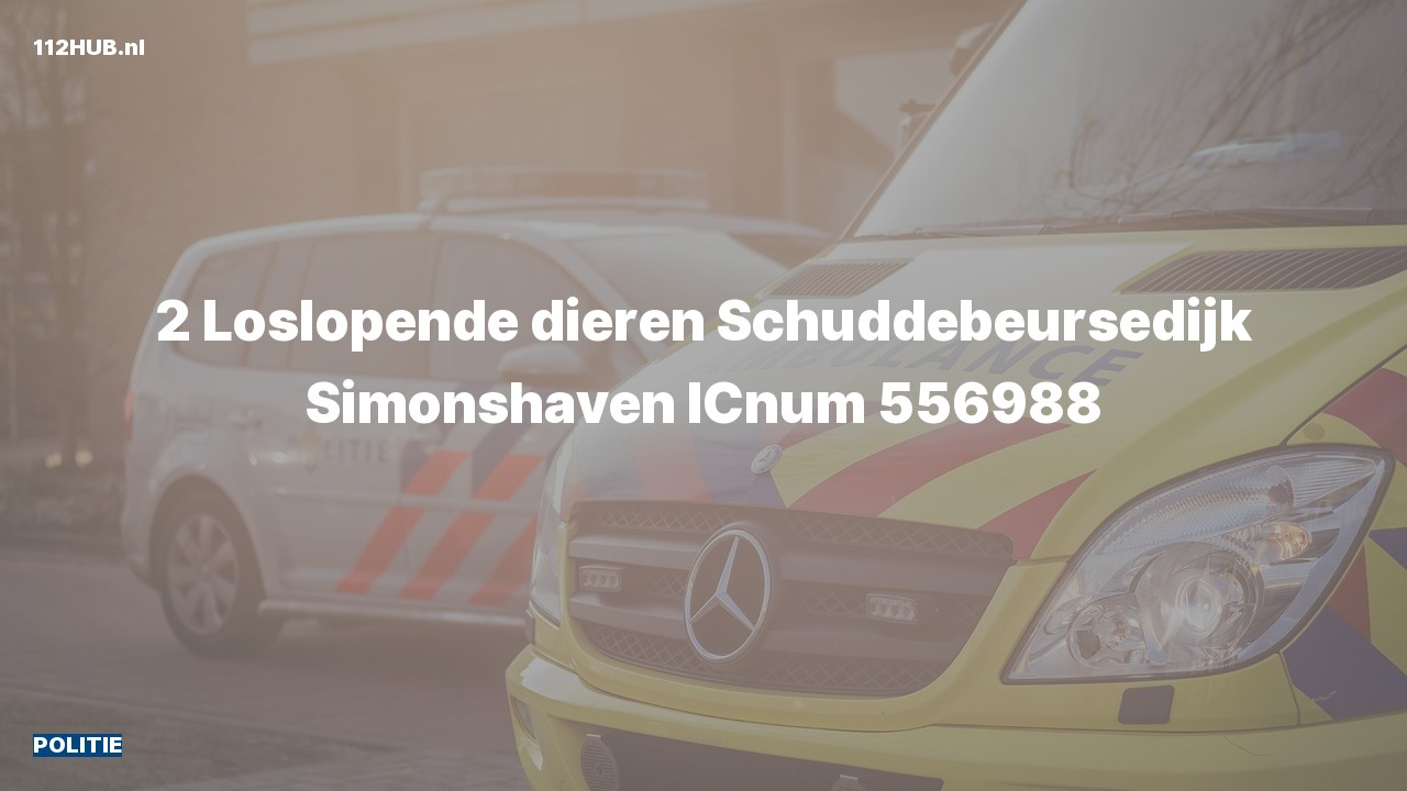 Deelafbeelding voor De politie is uitgerukt naar de Schuddebeursedijk in Simonshaven