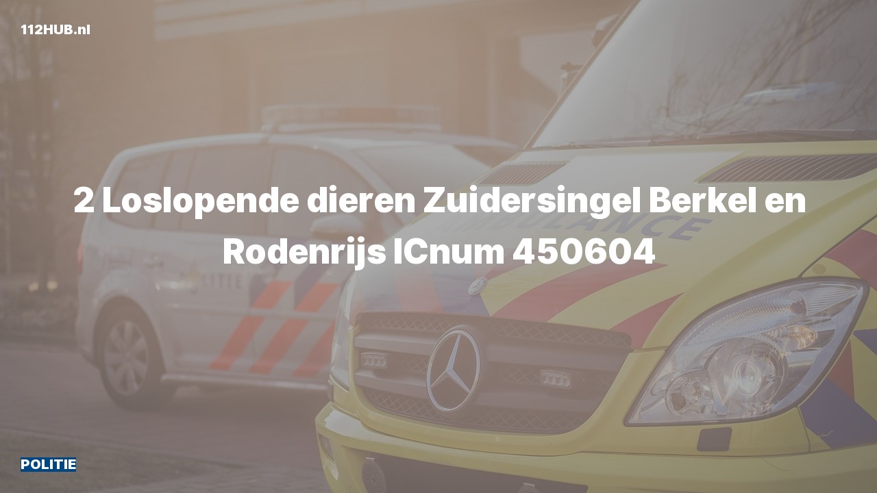 Deelafbeelding voor Politie naar de Zuidersingel in Berkel en Rodenrijs.