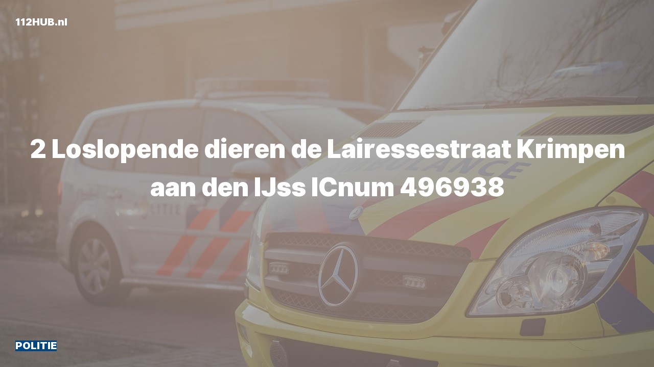 Deelafbeelding voor Politie.