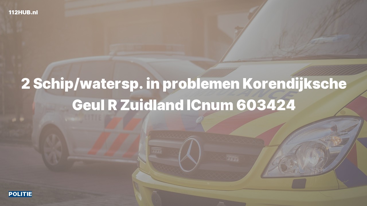 Deelafbeelding voor De politie is uitgerukt