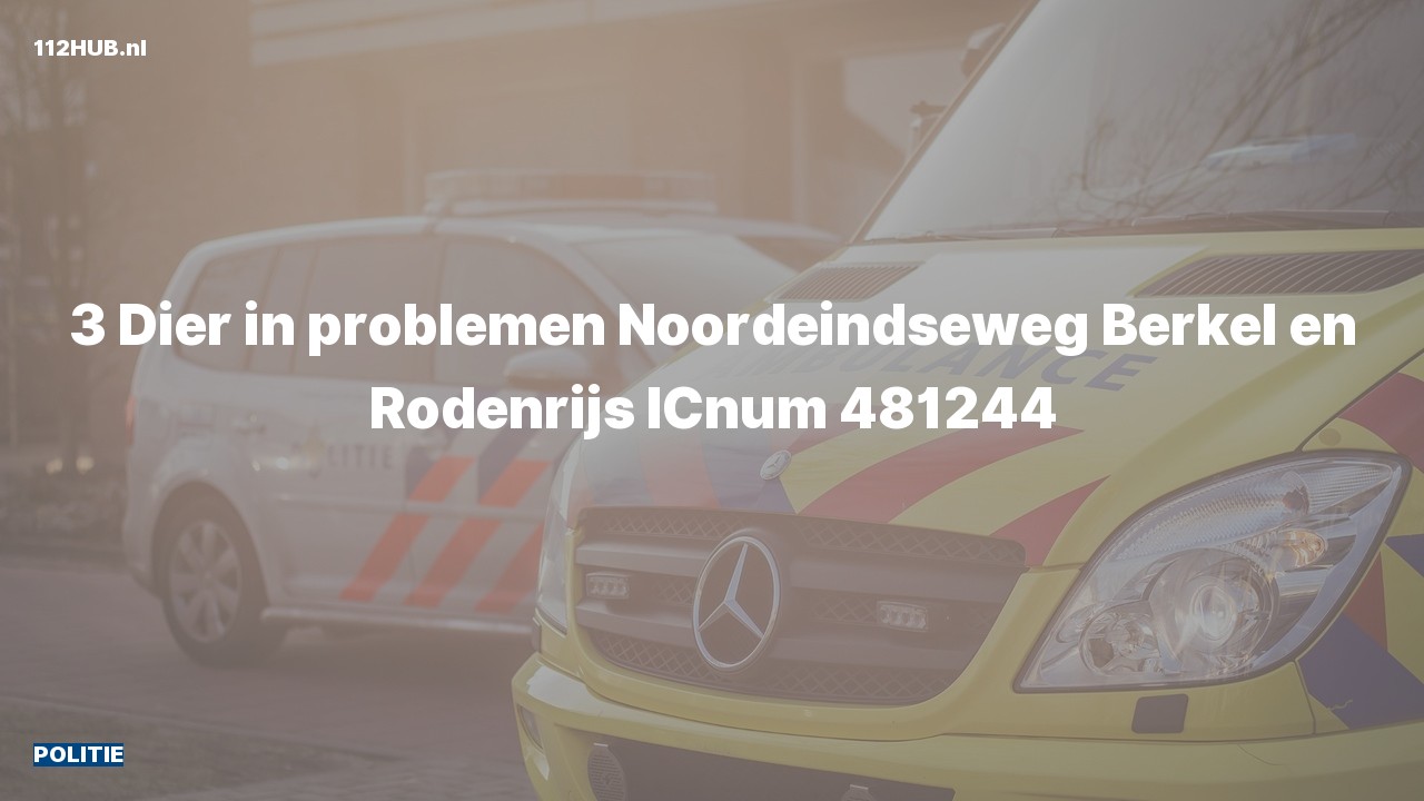 Deelafbeelding voor Politie naar de Noordeindseweg in Berkel en Rodenrijs.