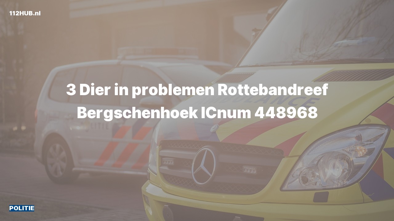Deelafbeelding voor Politie naar de Rottebandreef in Bergschenhoek.