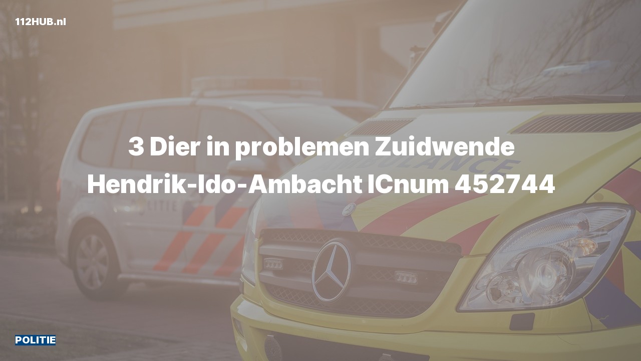 Deelafbeelding voor Politie naar de Zuidwende in Hendrik-Ido-Ambacht.