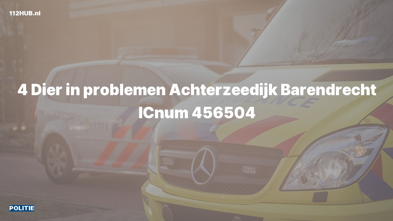 Deelafbeelding voor Politie naar de Achterzeedijk in Barendrecht.