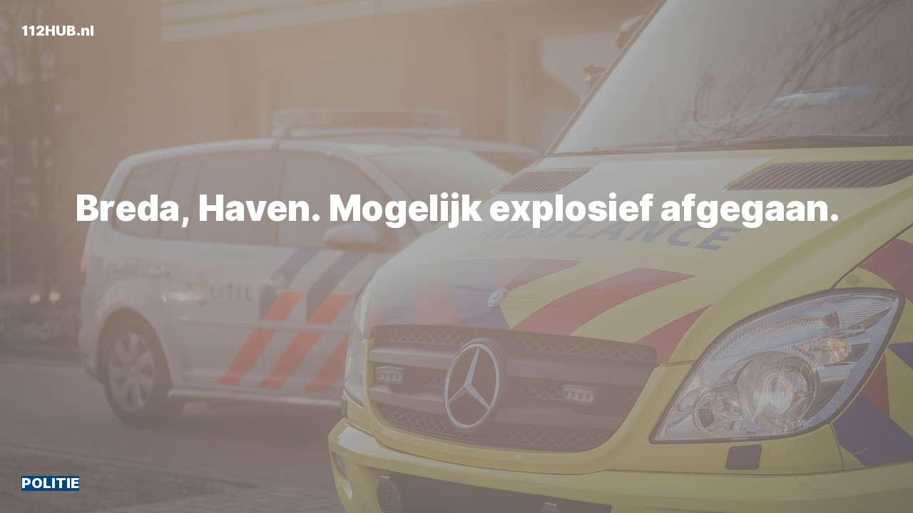 Deelafbeelding voor Politie.