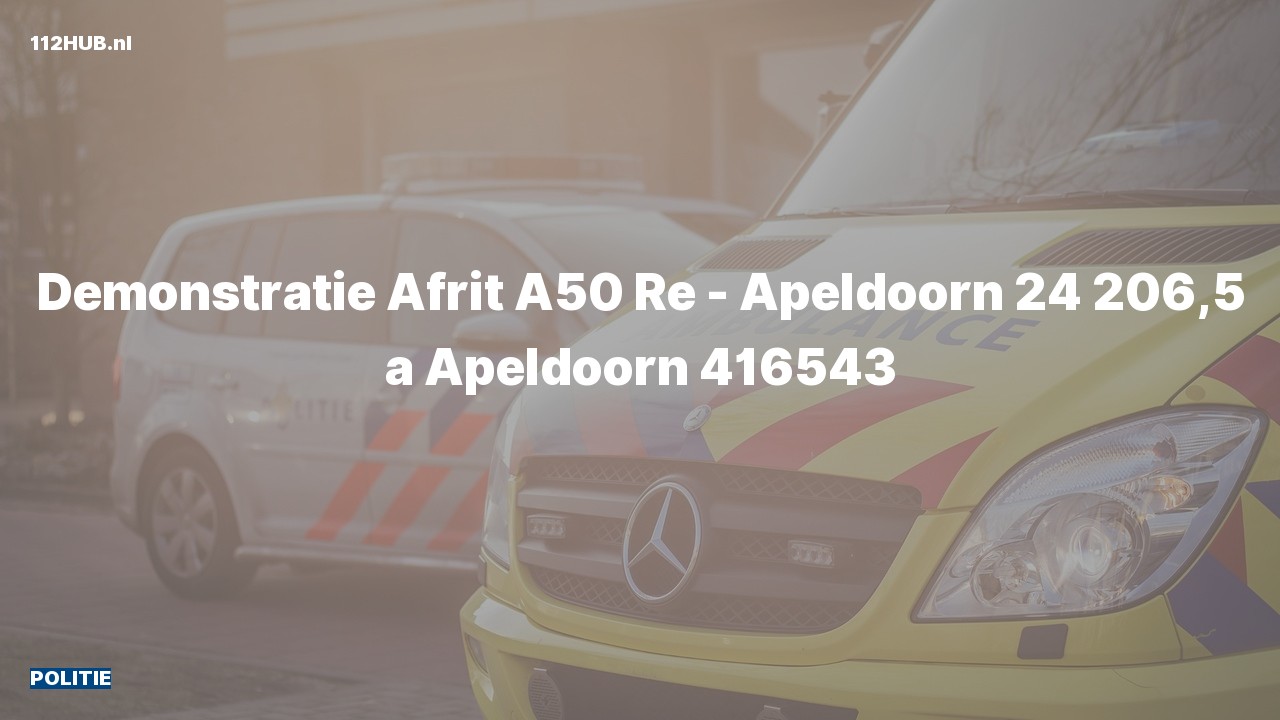 Deelafbeelding voor De politie is uitgerukt op de A50 bij hectometerpaaltje 206.5