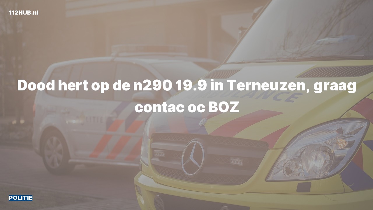 Deelafbeelding voor Politie op de N290 bij hectometerpaaltje 19.9.