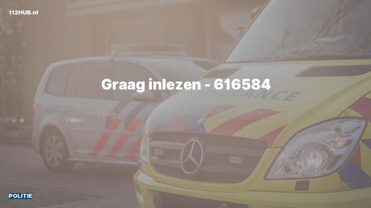 Deelafbeelding voor Politie.