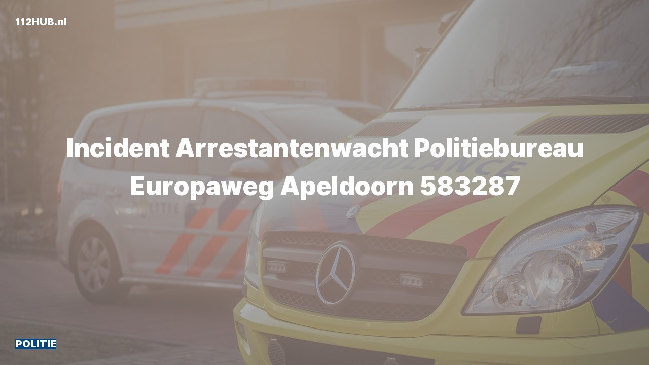 Deelafbeelding voor Politie naar de Europaweg in Apeldoorn.