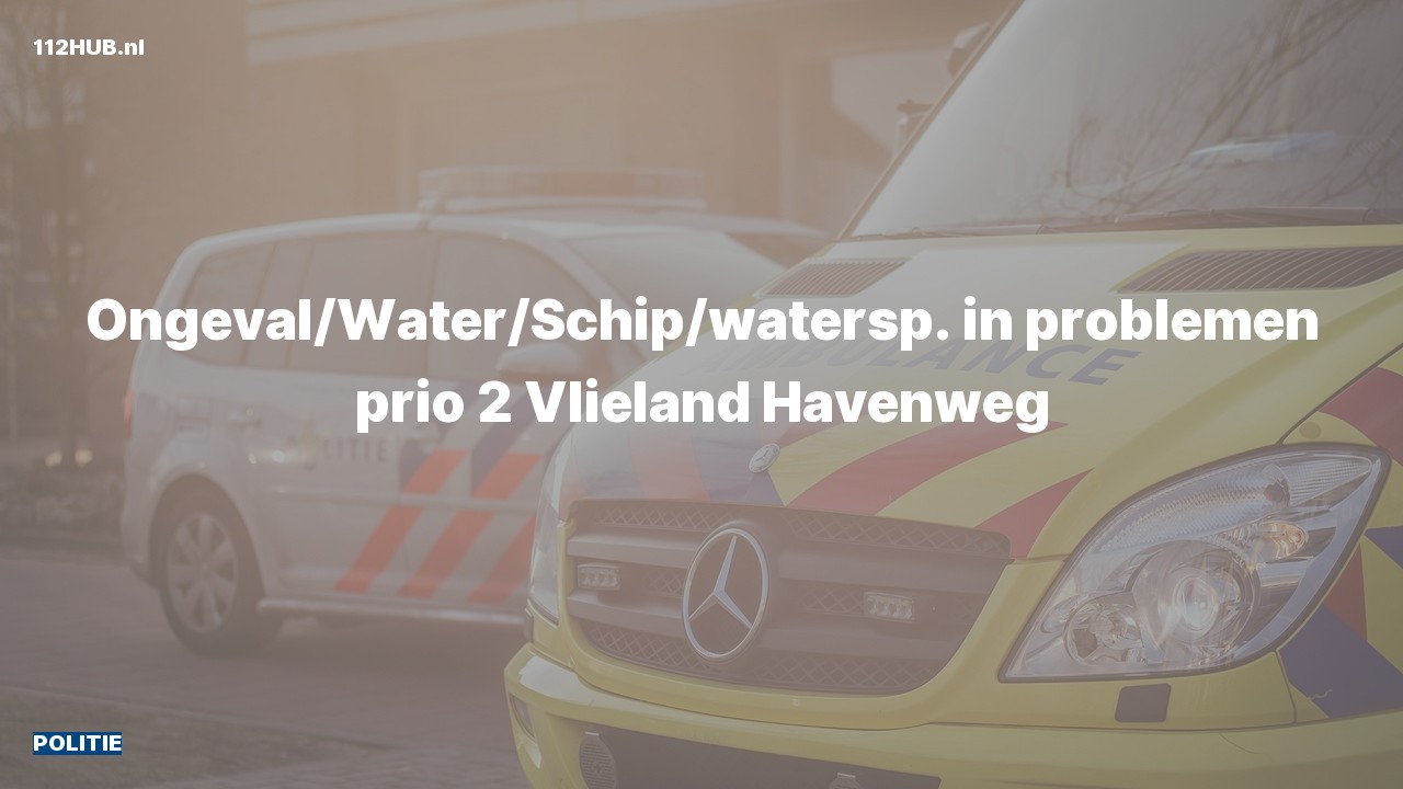 Deelafbeelding voor Politie met gepaste spoed naar de Havenweg in Vlieland.