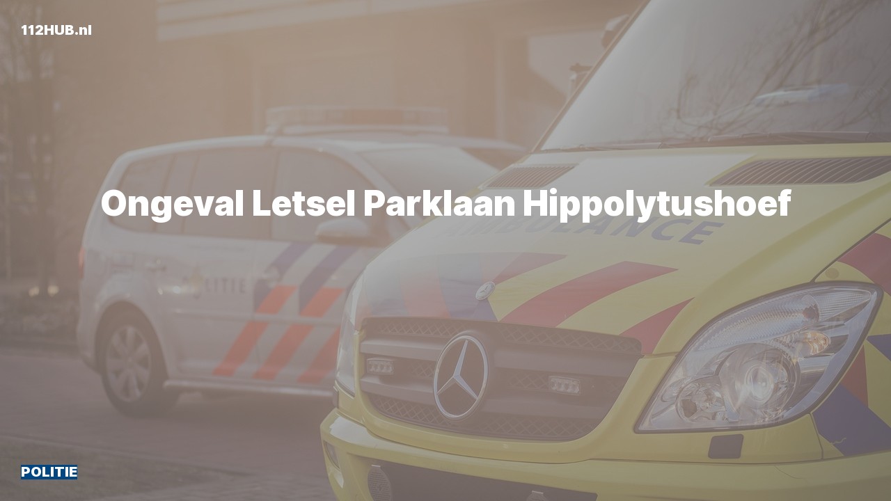Deelafbeelding voor Politie voor ongeval met letsel naar de Parklaan in Hippolytushoef.