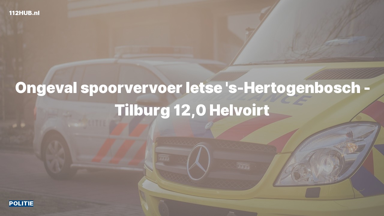 Deelafbeelding voor Politie.