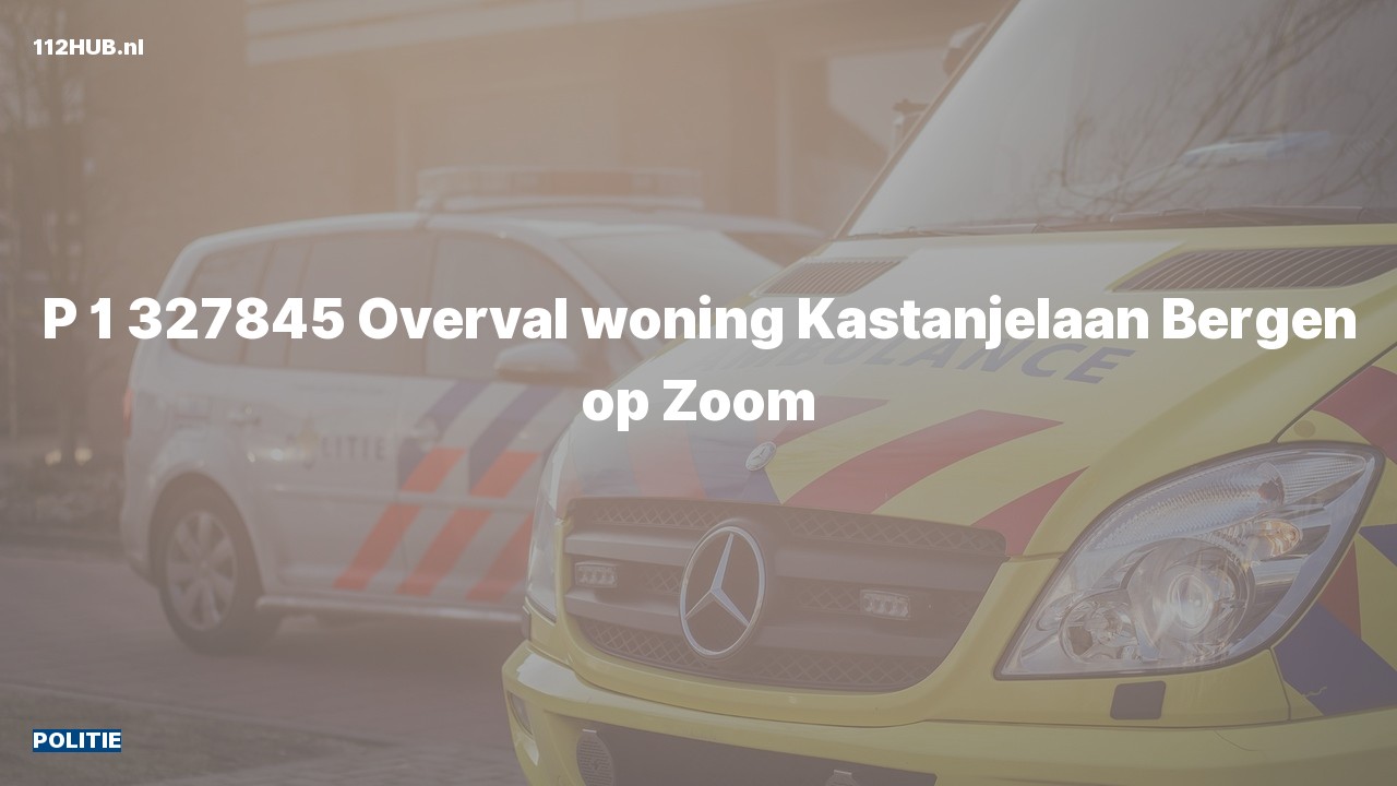 Deelafbeelding voor Politie met spoed naar de Kastanjelaan in Bergen op Zoom.