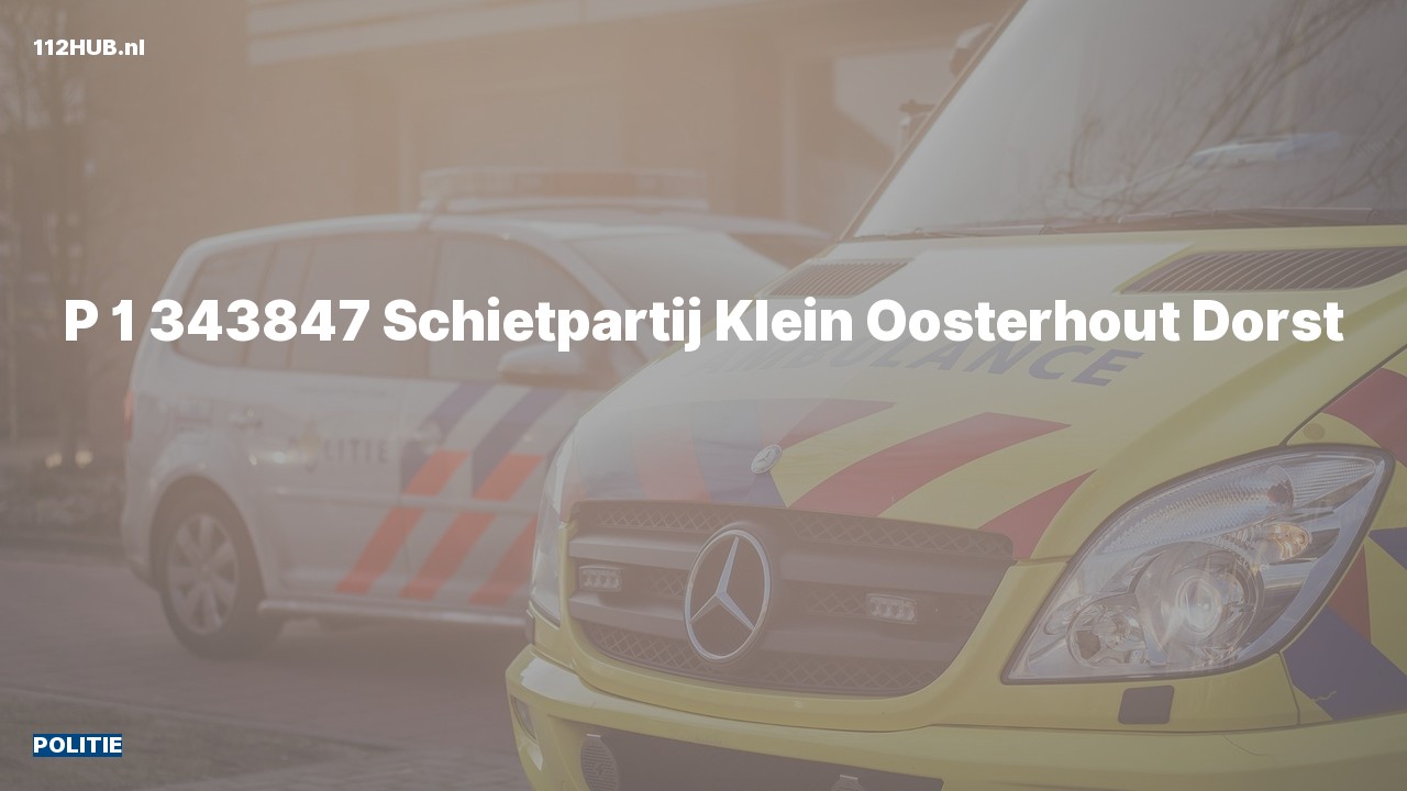 Deelafbeelding voor Politie met spoed naar de Klein Oosterhout in Dorst.