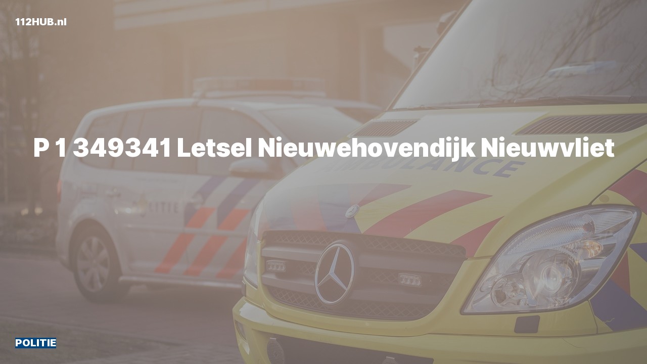 Deelafbeelding voor Politie met spoed naar de Nieuwehovendijk in Nieuwvliet.