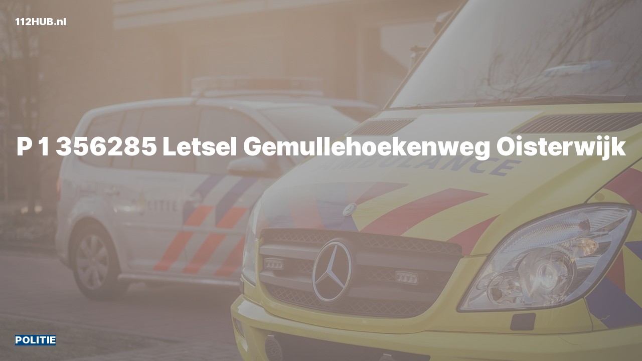 Deelafbeelding voor Politie met spoed naar de Gemullehoekenweg in Oisterwijk.
