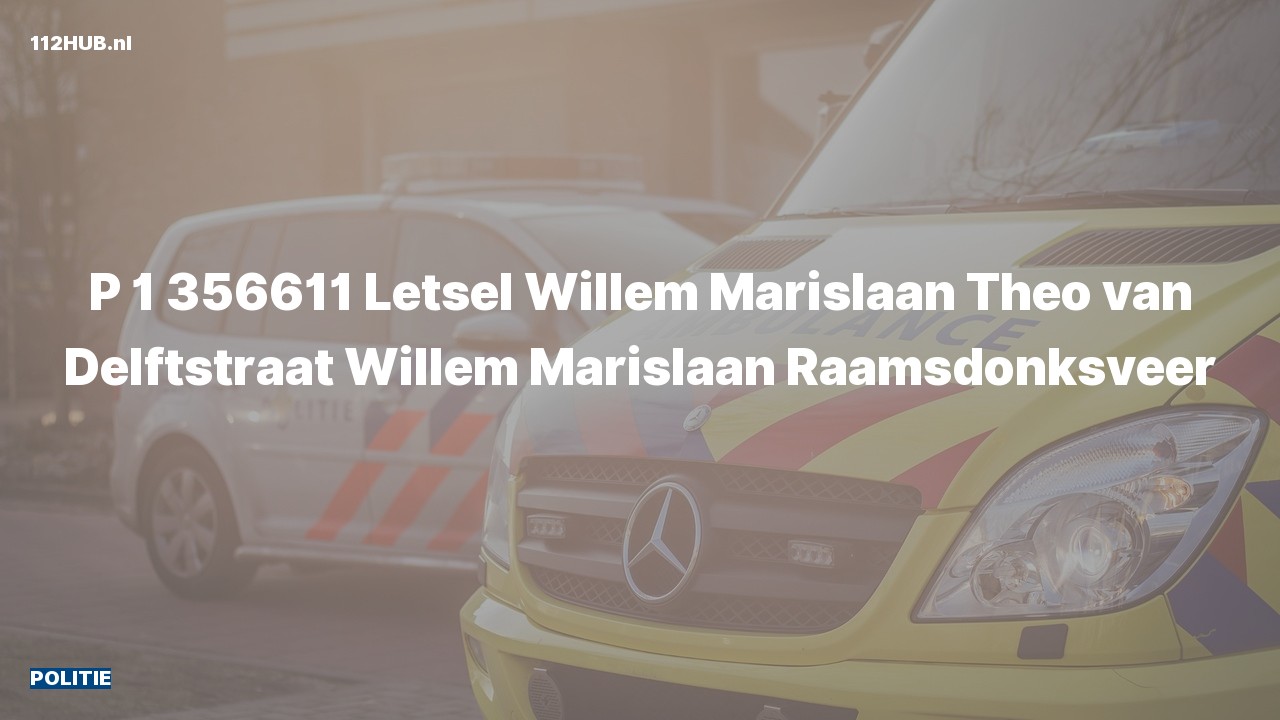 Deelafbeelding voor Politie met spoed naar de Theo van Delftstraat in Raamsdonksveer.