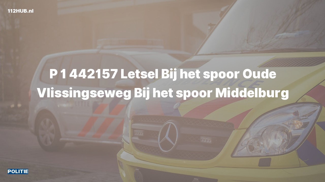 Deelafbeelding voor De politie is met spoed uitgerukt naar de Oude Vlissingseweg in Middelburg