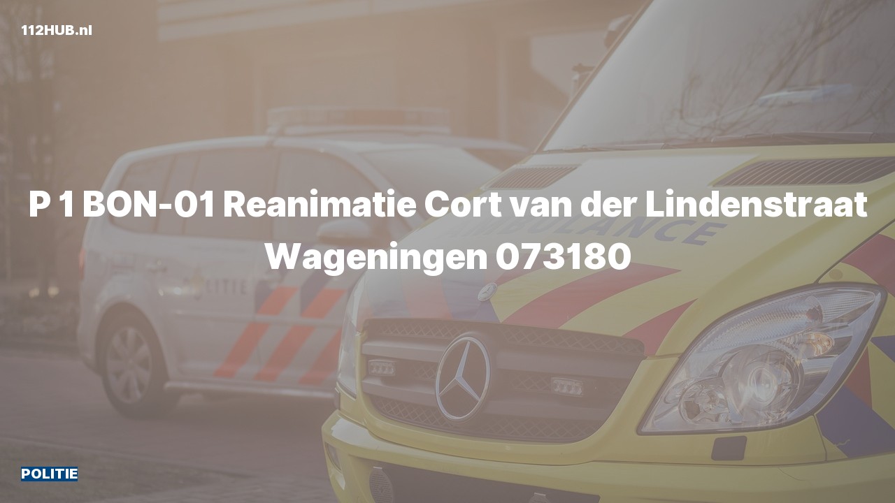Deelafbeelding voor P2000-melding.