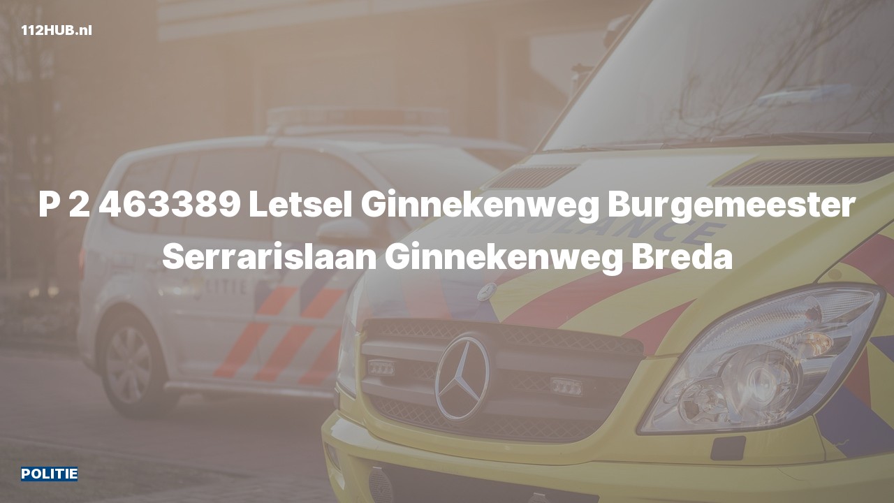 Deelafbeelding voor De politie is met gepaste spoed uitgerukt naar de Burgemeester Serrarislaan in Breda