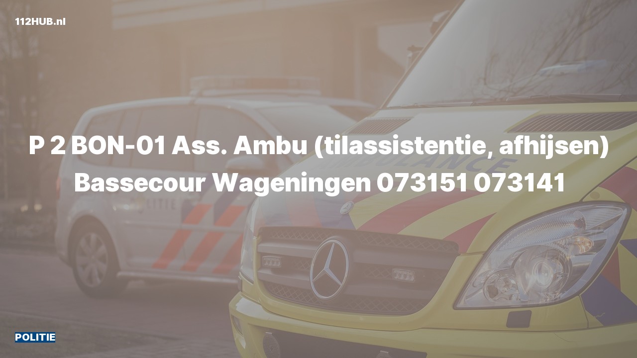Deelafbeelding voor P2000-melding voor afhijsen.