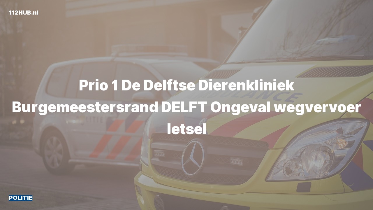 Deelafbeelding voor De politie is met spoed uitgerukt voor een verkeersongeval naar de Burgemeestersrand in Delft