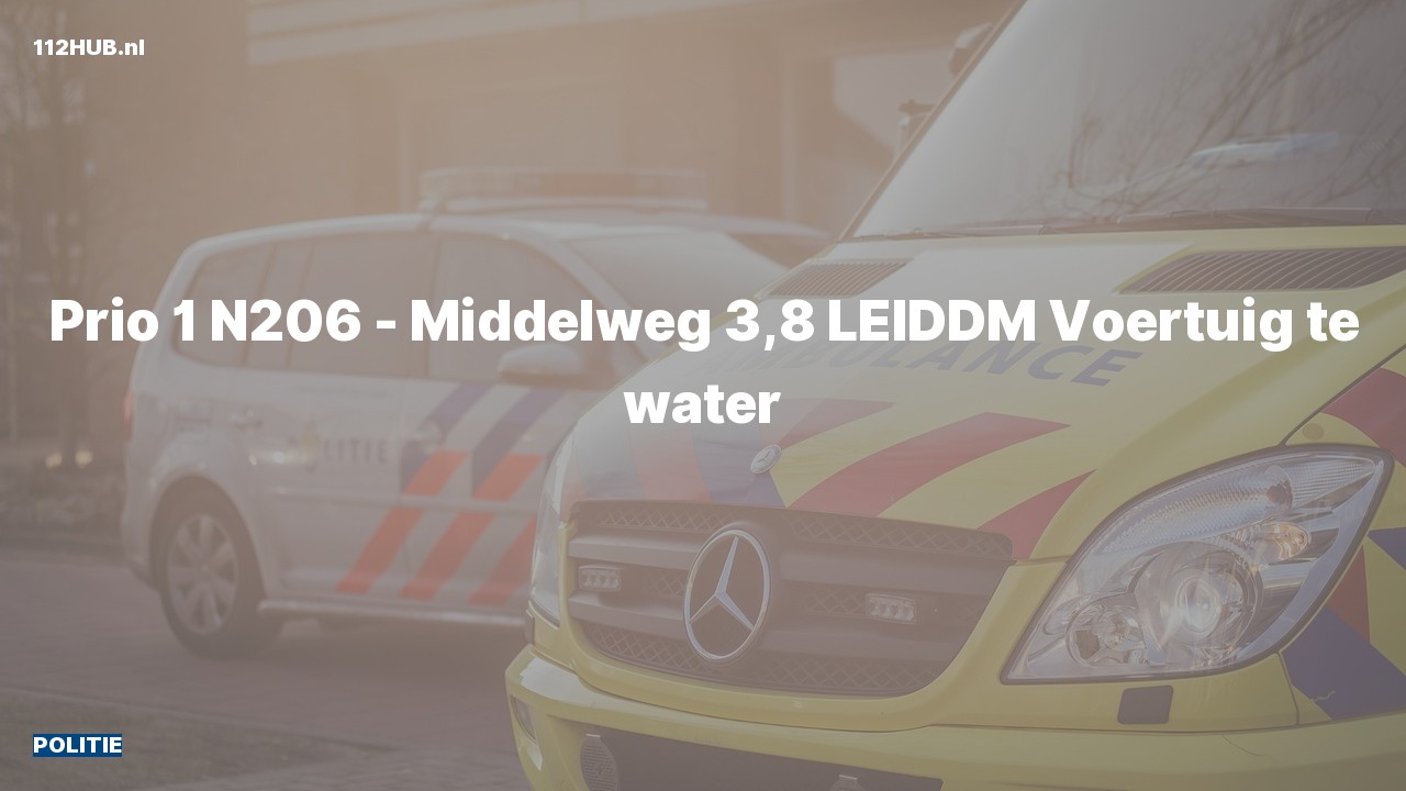 Deelafbeelding voor De politie is met spoed uitgerukt voor een persoon te water op de N206 bij hectometerpaaltje 3.8