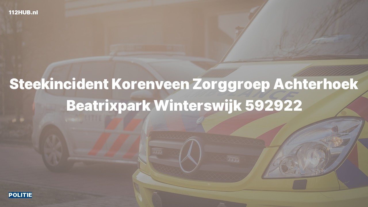 Deelafbeelding voor Politie naar de Beatrixpark in Winterswijk.