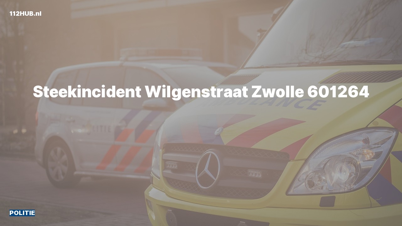 Deelafbeelding voor Politie naar de Wilgenstraat in Zwolle.