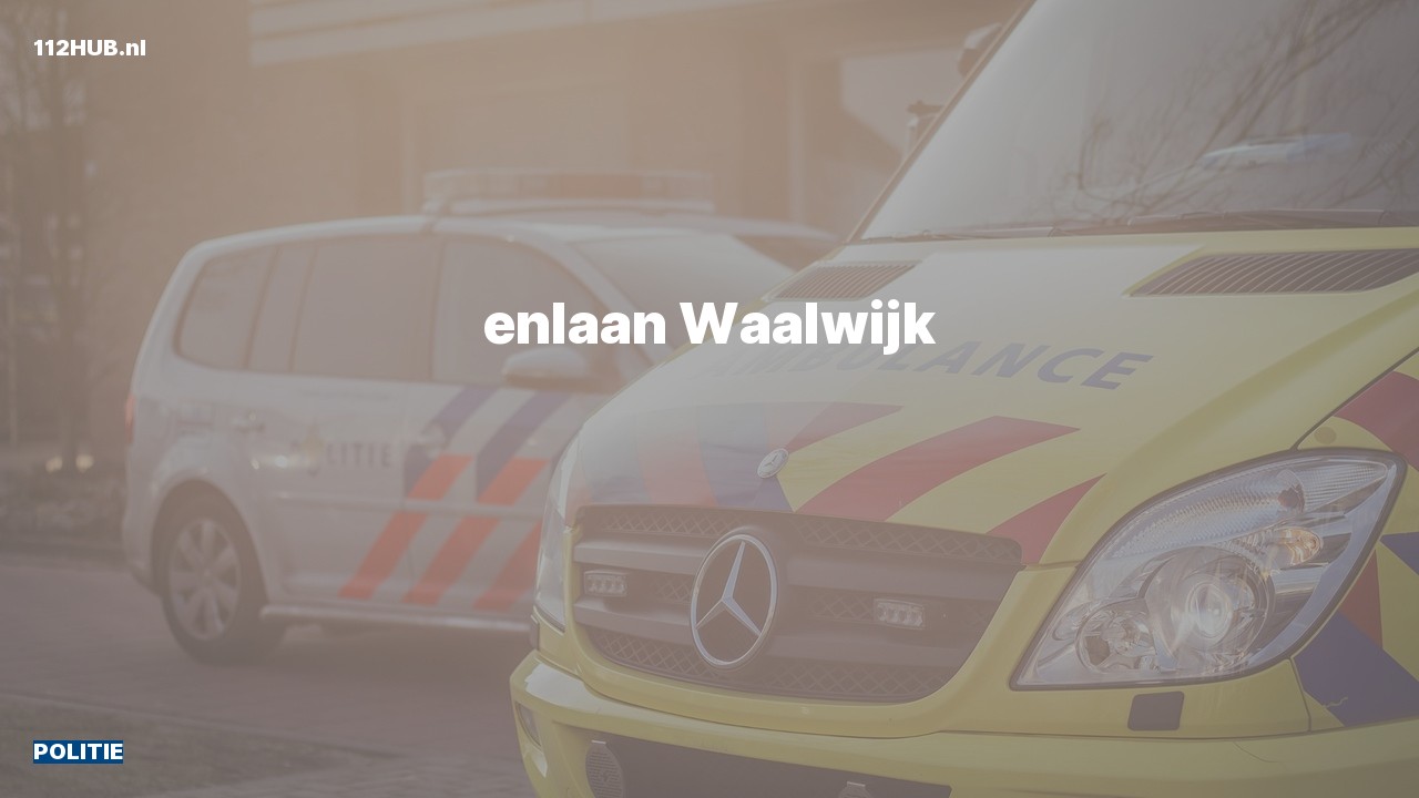Deelafbeelding voor Politie.