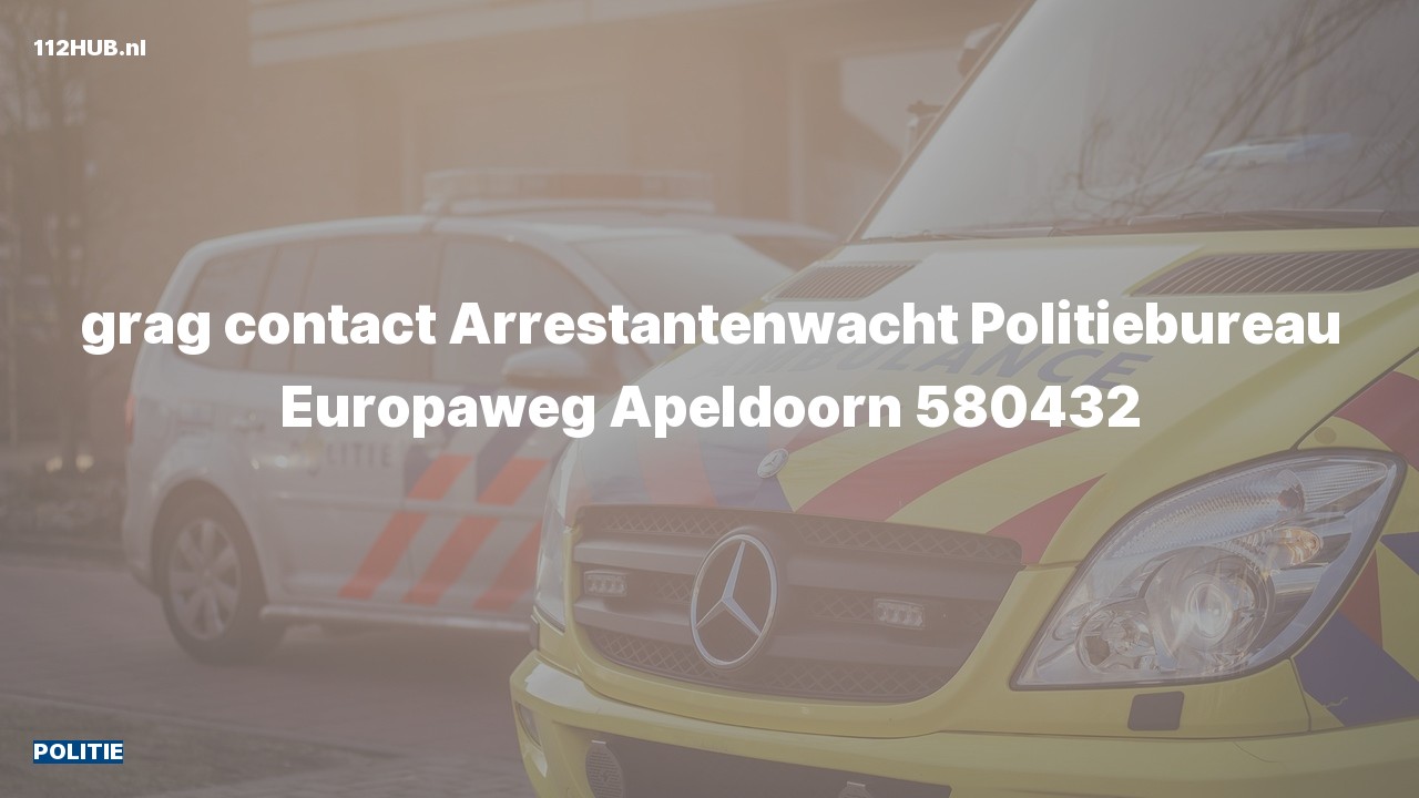 Deelafbeelding voor Politie naar de Europaweg in Apeldoorn.